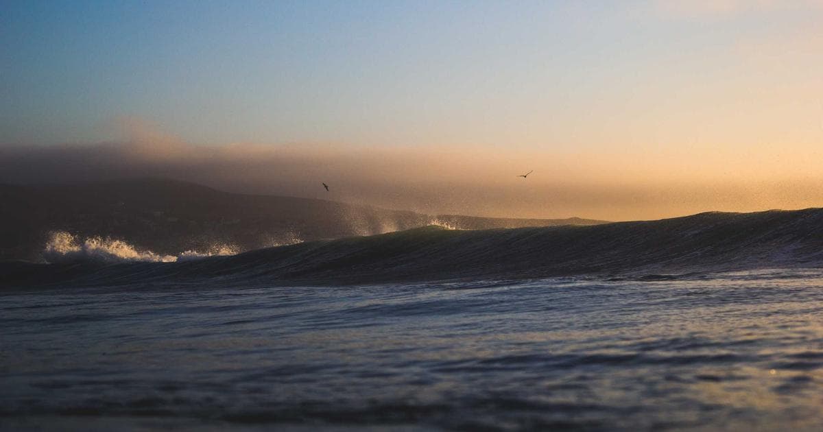 Why SQLite Is the Only Database You Need